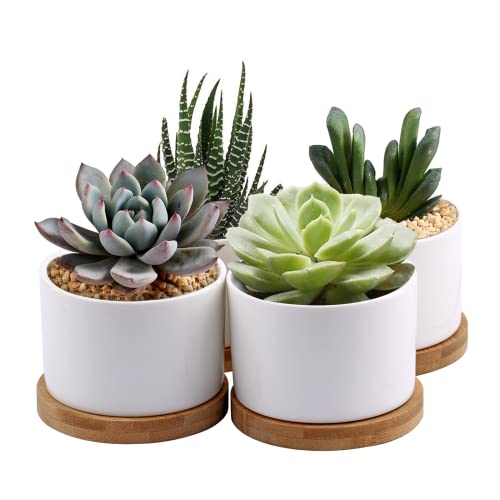 ZOUTOG Succulent Planter - Pack of 4 Ceramic Flower Pots with Bamboo Tray