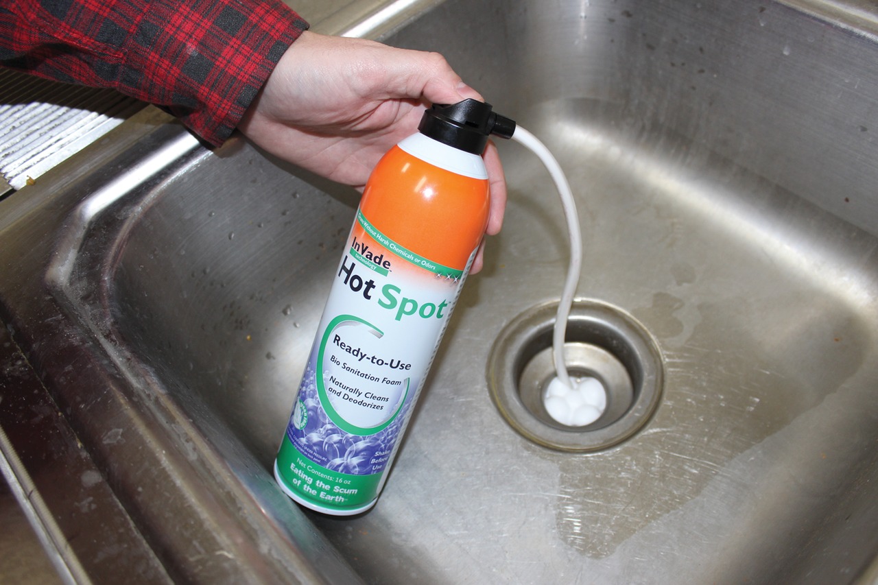 10 Best Drain Deodorizer And Cleaner for 2024