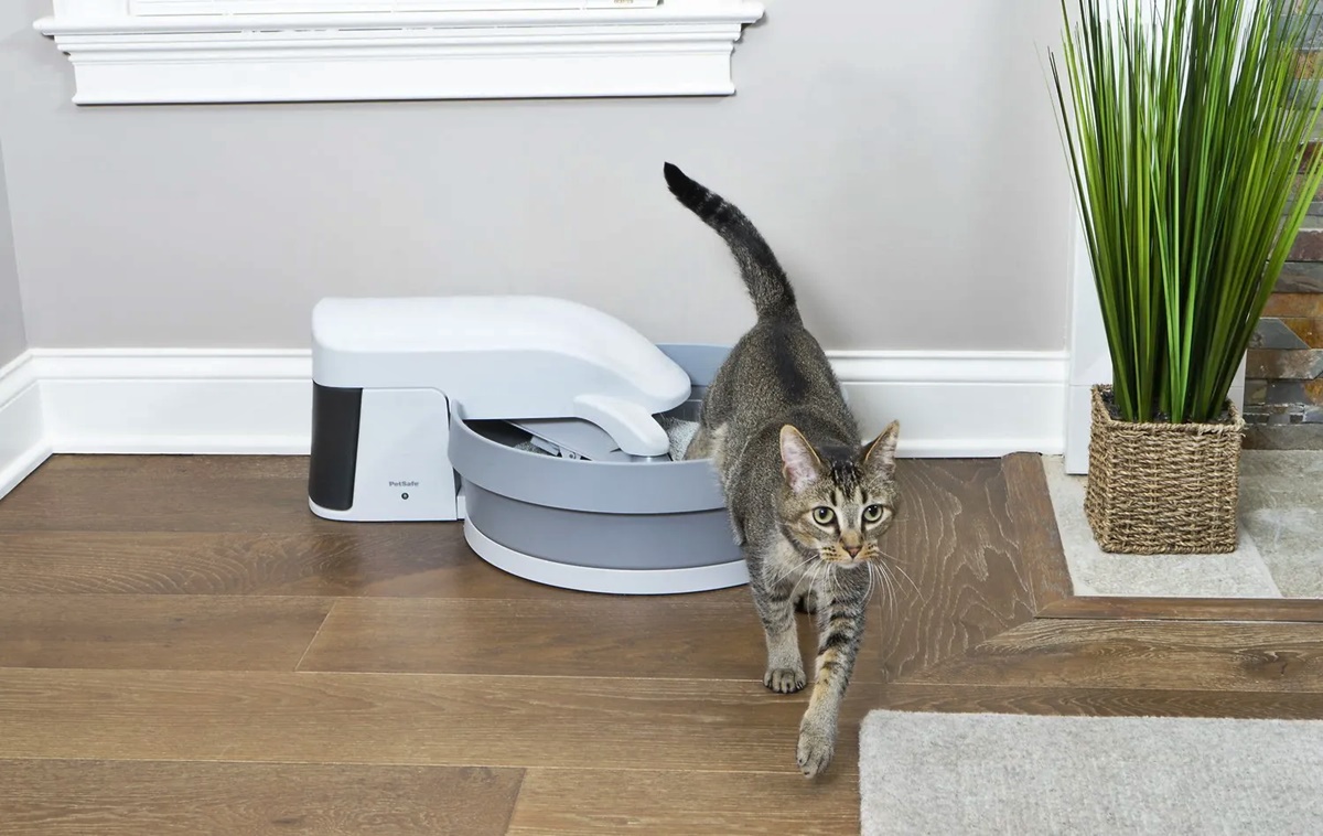 10 Incredible Self Cleaning Cat Litter Box for 2024