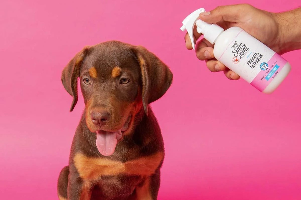 10 Unbelievable Dog Spray Deodorizer Perfume for 2024