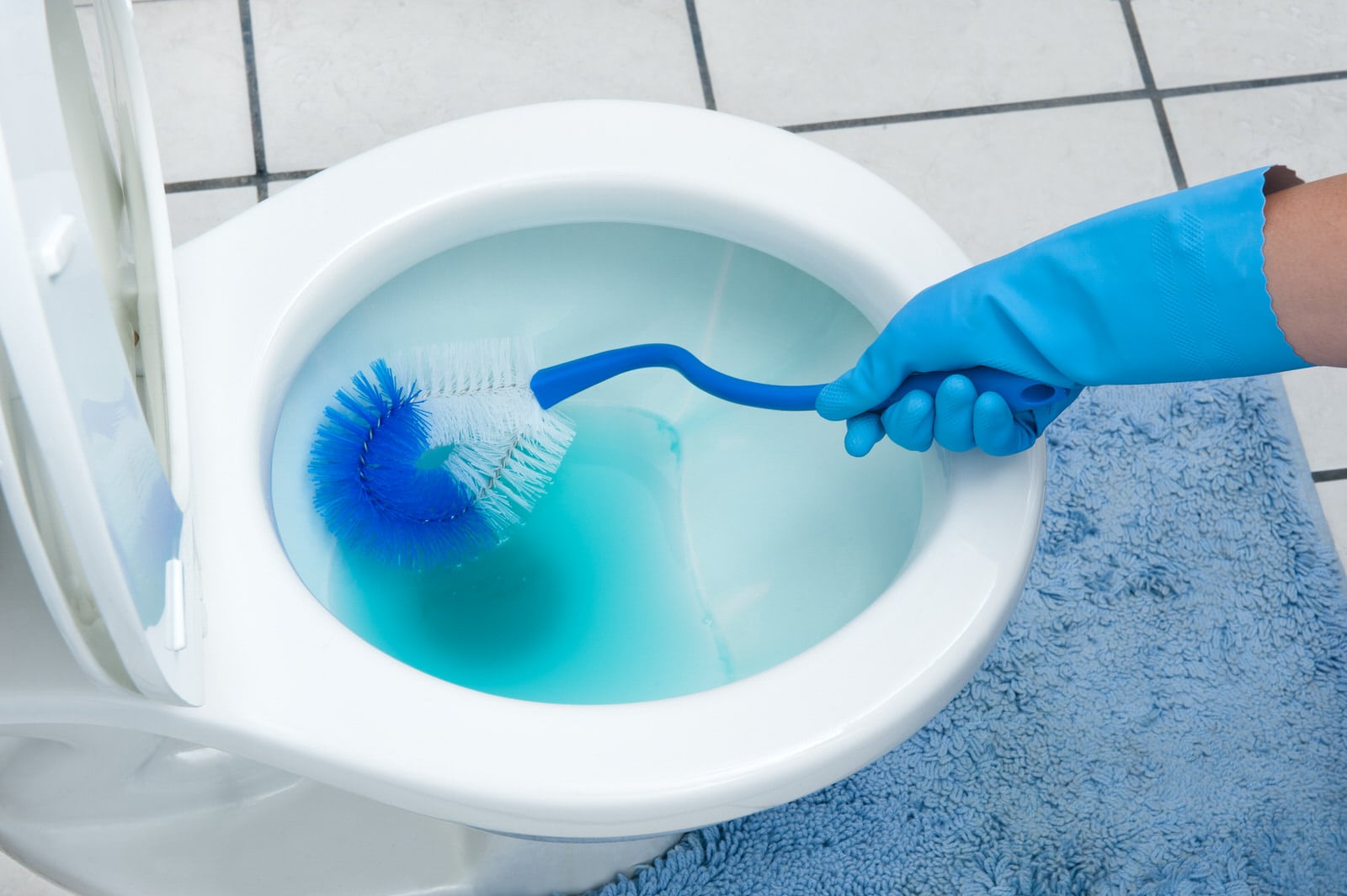 11 Best Toilet Cleaning for 2024