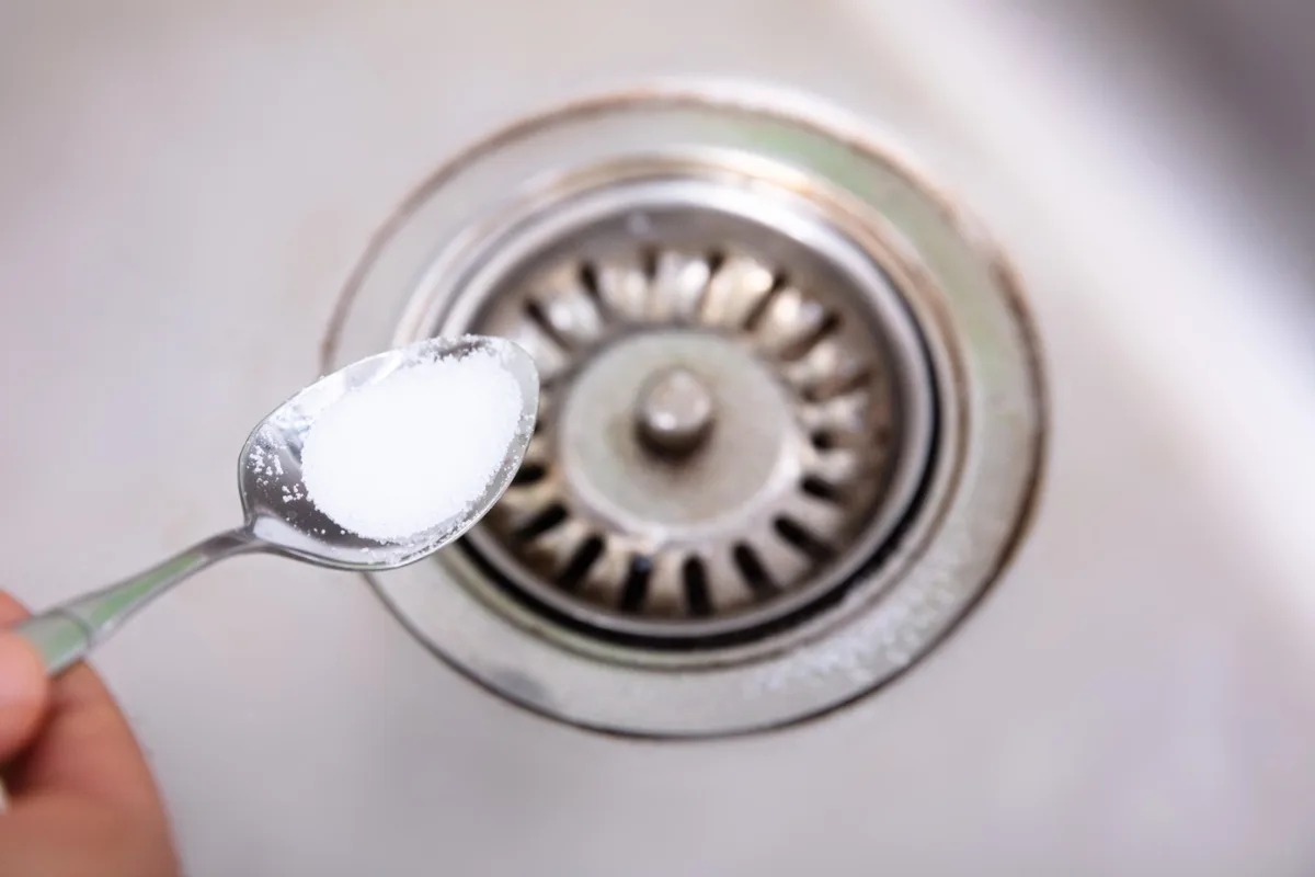 12 Amazing Sink Drain Deodorizer for 2024