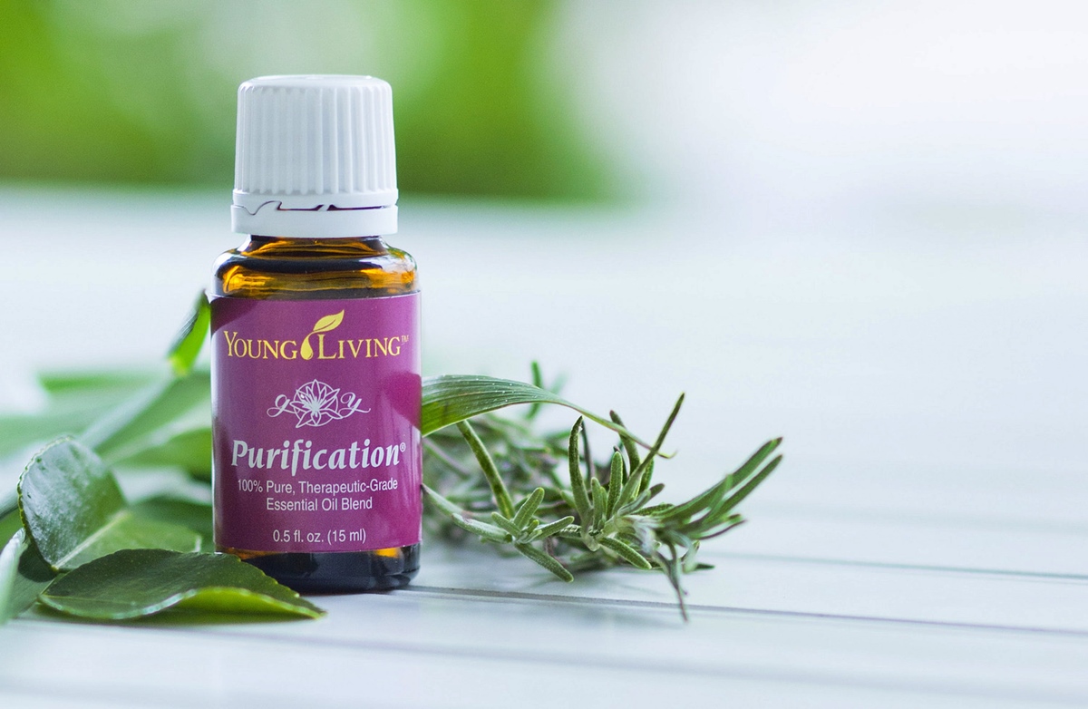 12 Best Purification Essential Oil for 2024