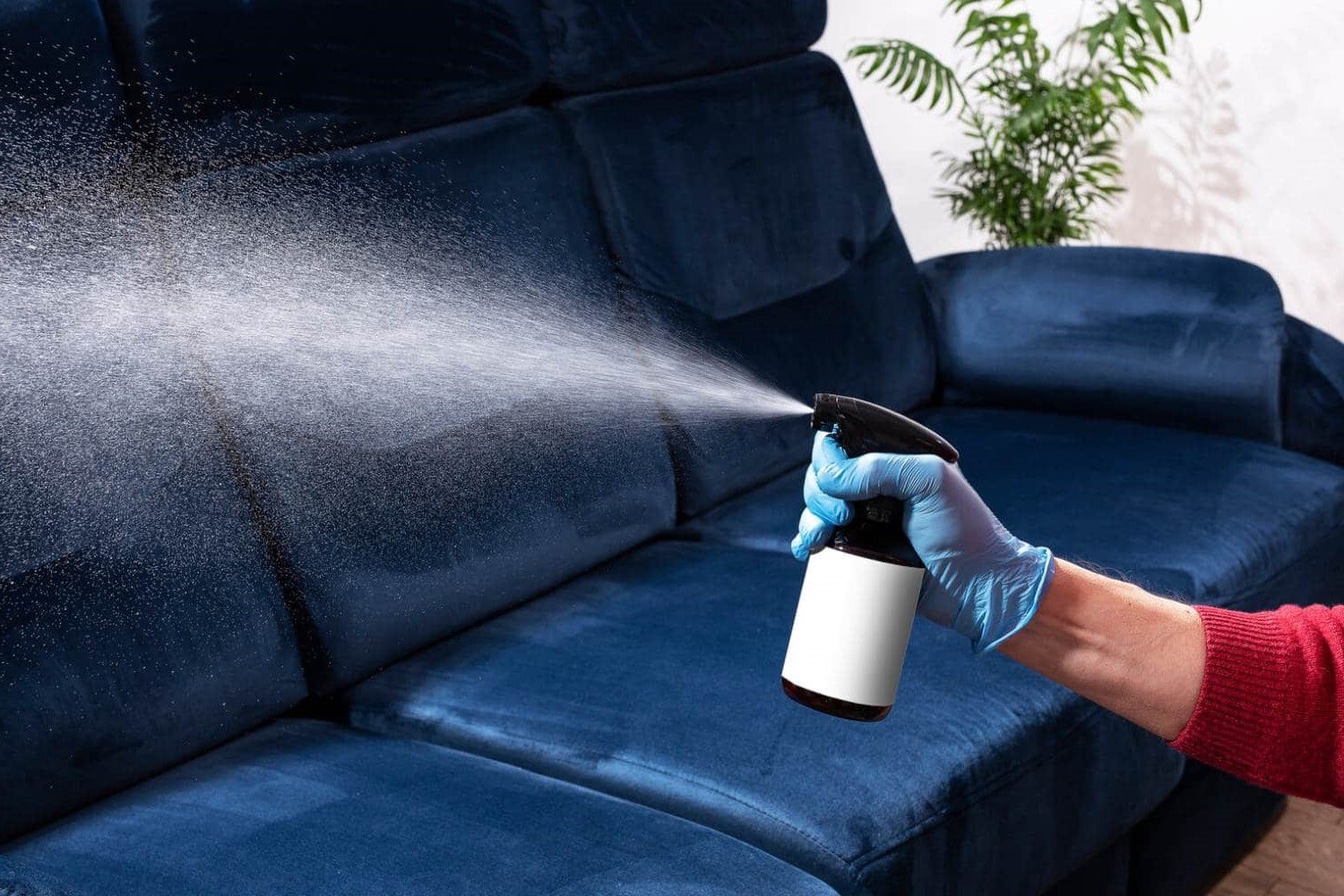 12 Incredible Couch Deodorizer for 2024