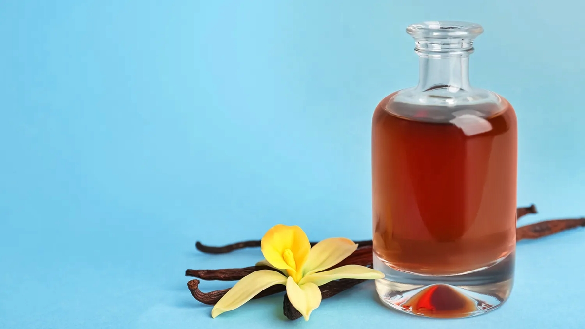 12 Incredible Vanilla Essential Oil For Diffuser for 2024
