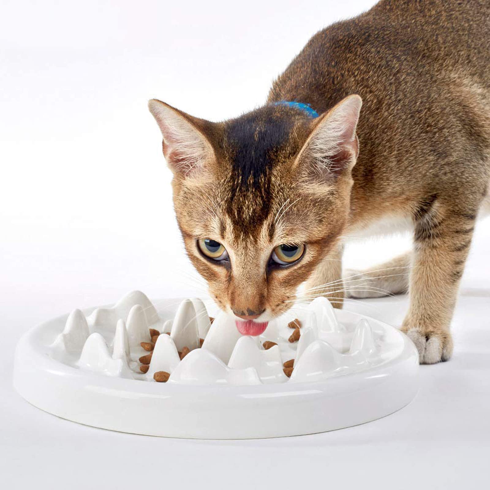 12-superior-cat-slow-feeder-bowl-for-2023