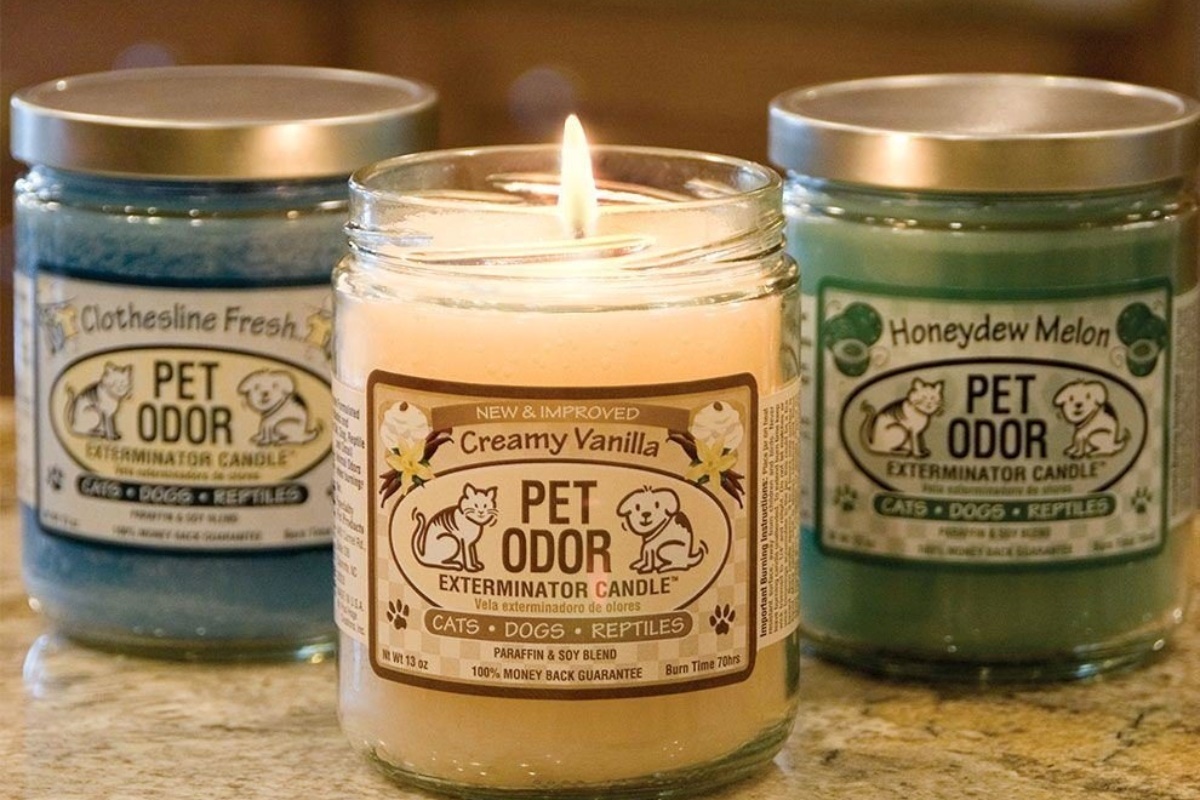 12 Superior Pet Odor Candle for 2024