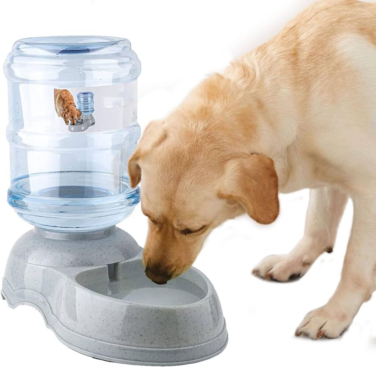 12 Unbelievable Gravity Water Bowl For Dogs for 2024