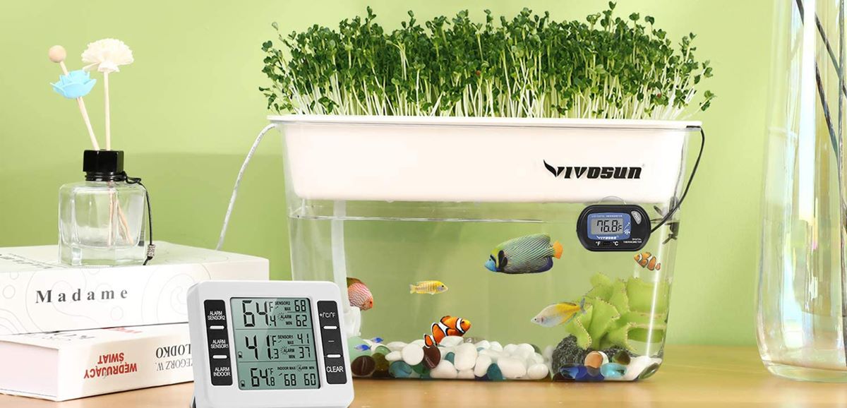 13-best-self-cleaning-fish-tank-for-2023