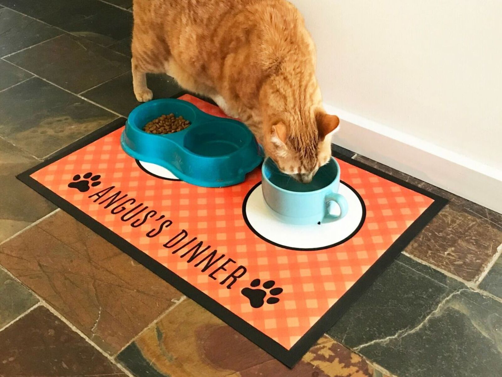 Pet Feeding Mat-Absorbent Dog/Cat eat mat for Food and Water Bowl-No Stains  Quick Dry Dog/Cat Water Dispenser Mat-Dog Accessories Pet Supplies-Dog Water  Bowl for Messy Drinkers 12*20inch