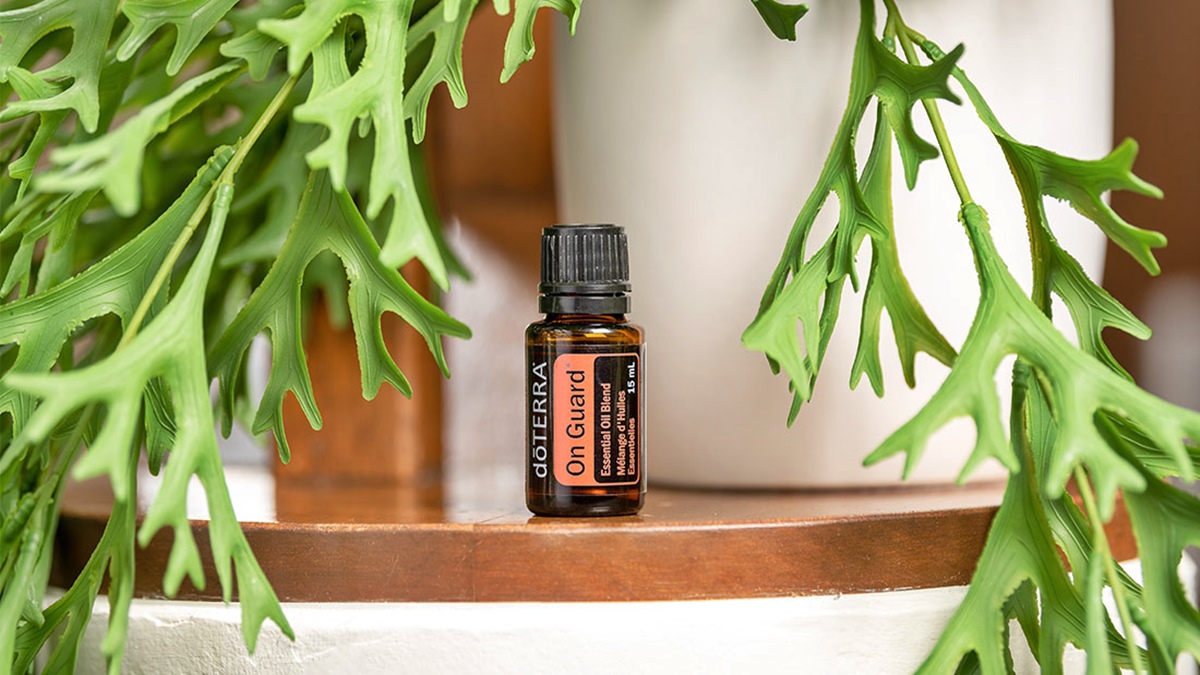 13 Incredible On Guard Essential Oil for 2024