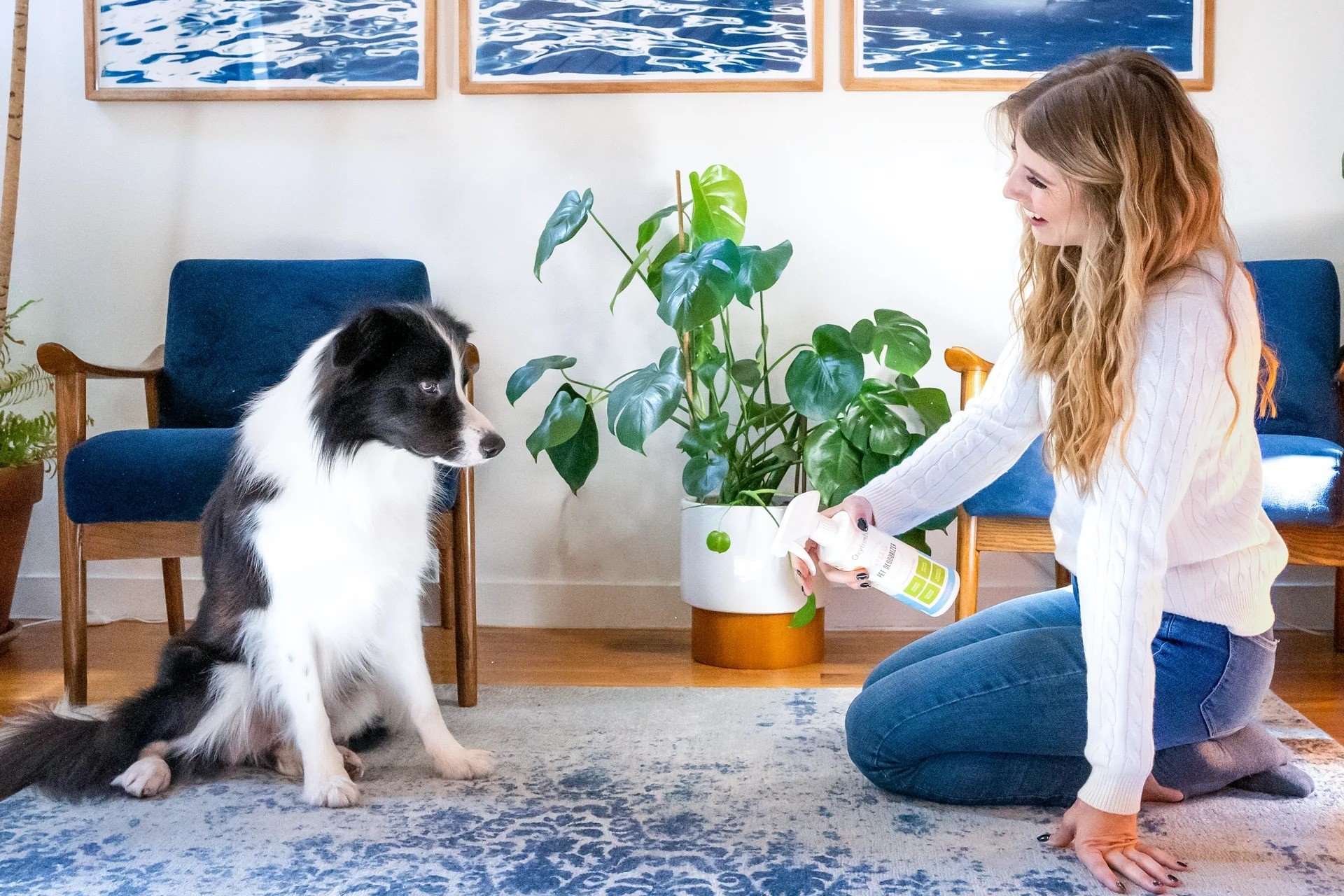 13 Incredible Room Deodorizer For Pets for 2024