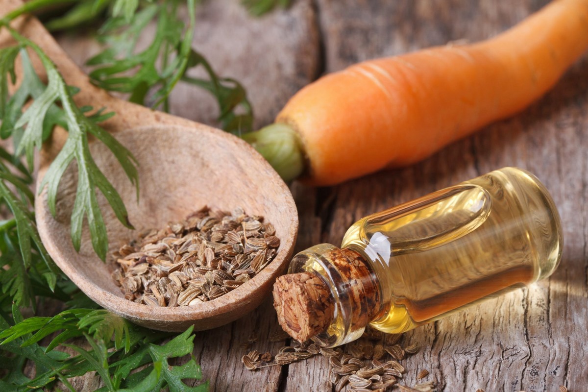 13-superior-carrot-seed-essential-oil-for-2023