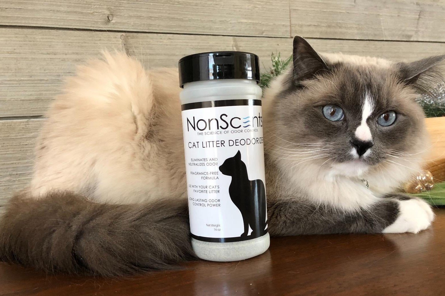 13 Unbelievable Nonscents Cat Litter Deodorizer for 2024