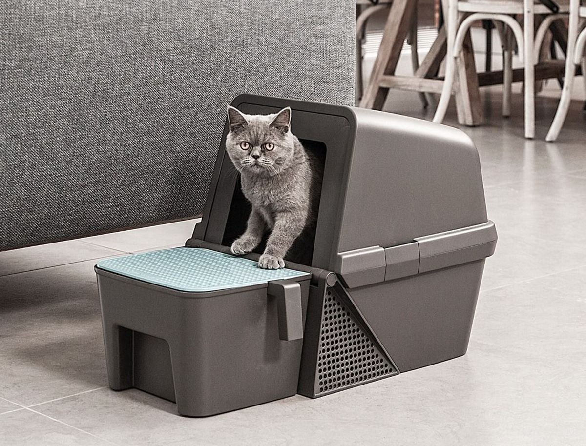 14-best-self-cleaning-litter-box-for-2023