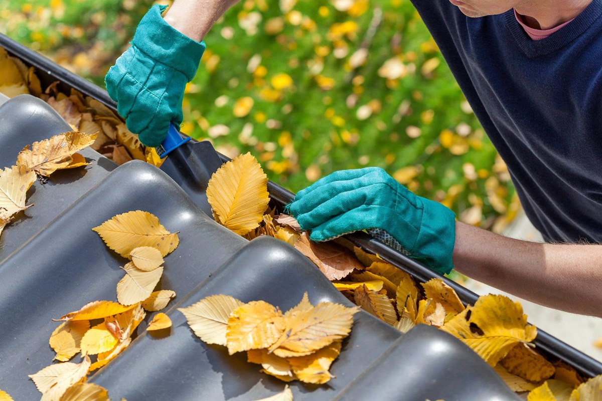 14 Superior Gutter Cleaning for 2024