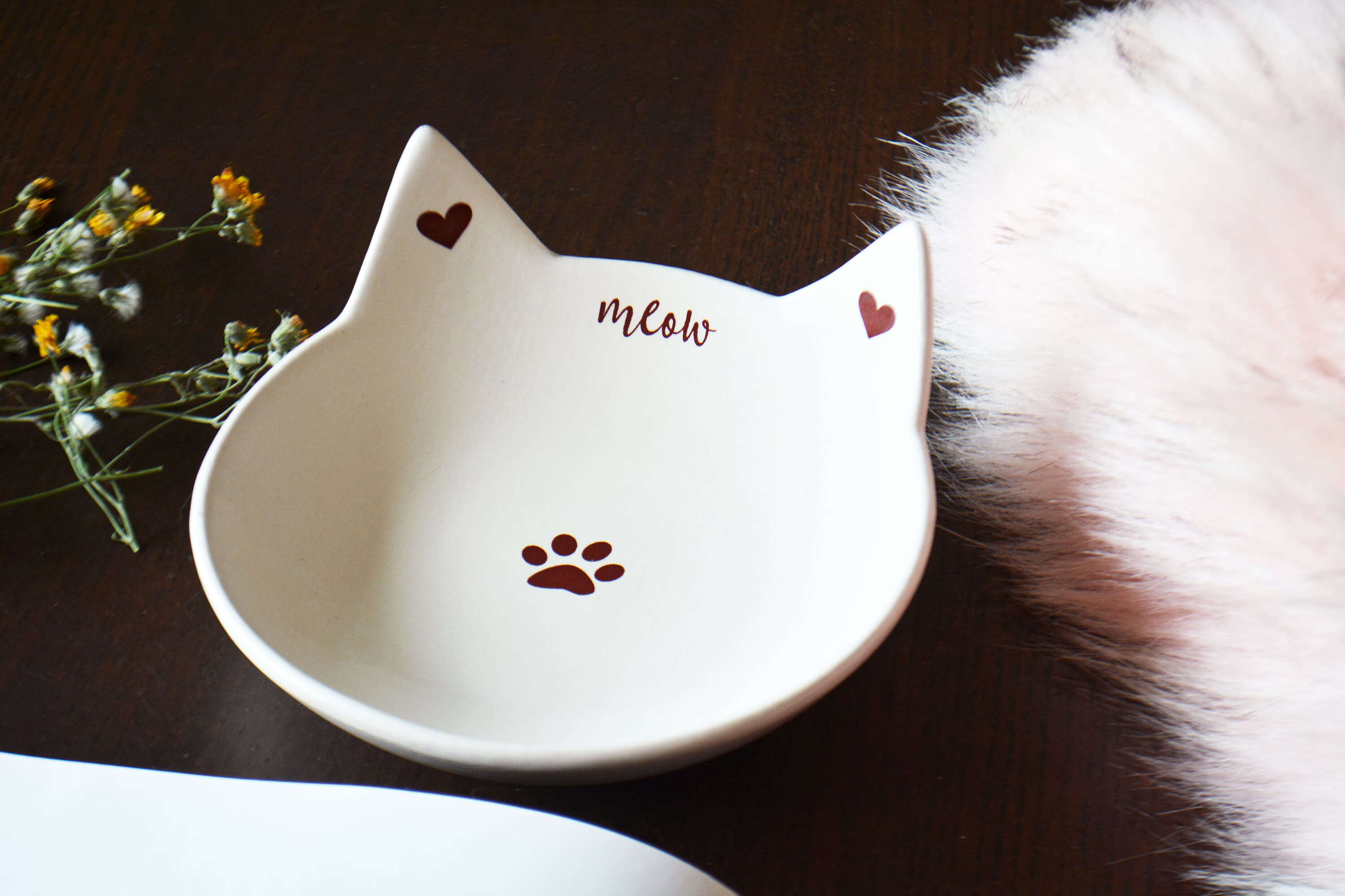 14 Unbelievable Ceramic Cat Bowl for 2024