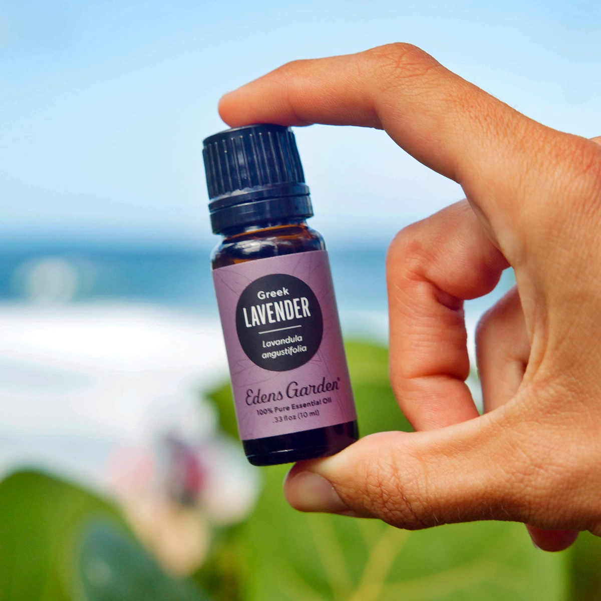 14 Unbelievable Edens Garden Lavender Essential Oil for 2024