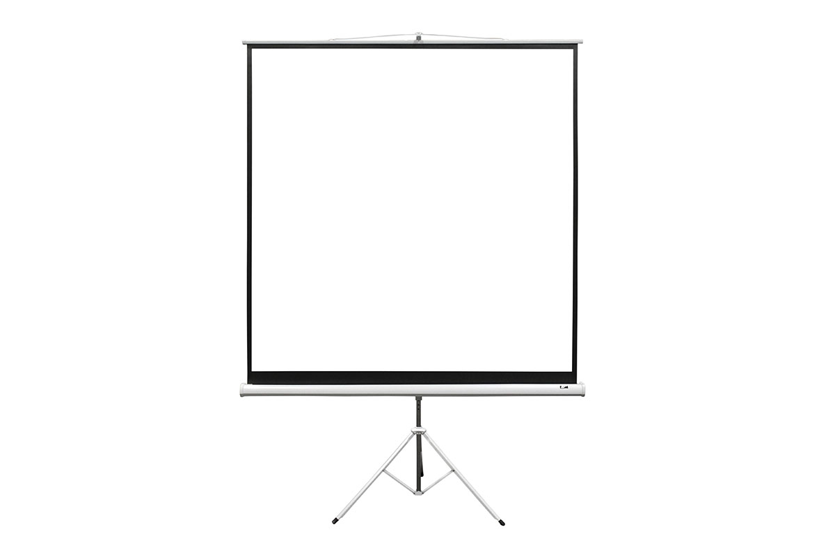 15-amazing-white-projection-screen-for-2024