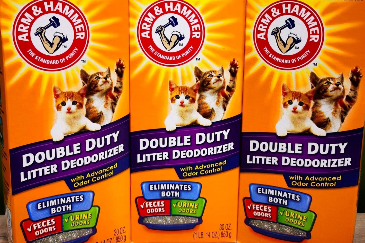 15 Incredible Double Duty Litter Deodorizer for 2024