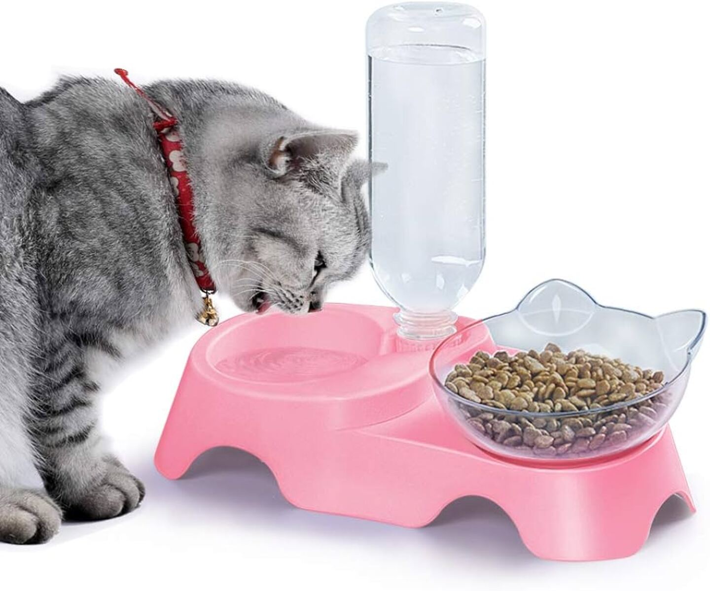 15 Superior Automatic Water Bowl For Cats for 2024