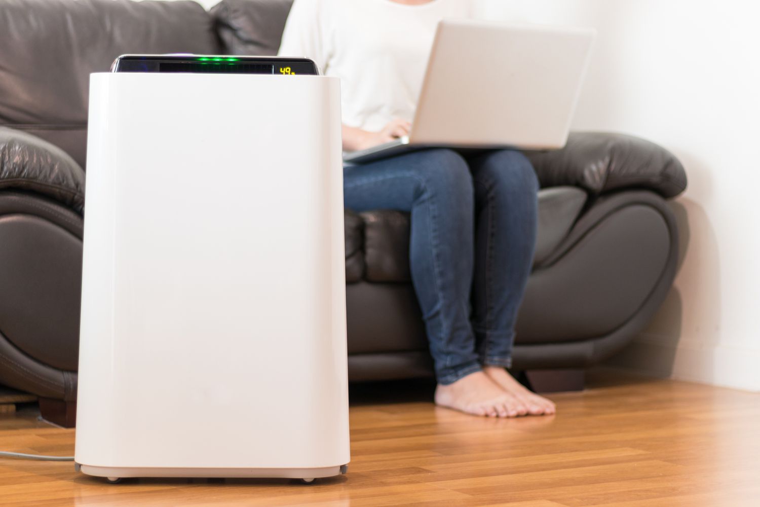 8 Amazing Air Purifier Deodorizer for 2024