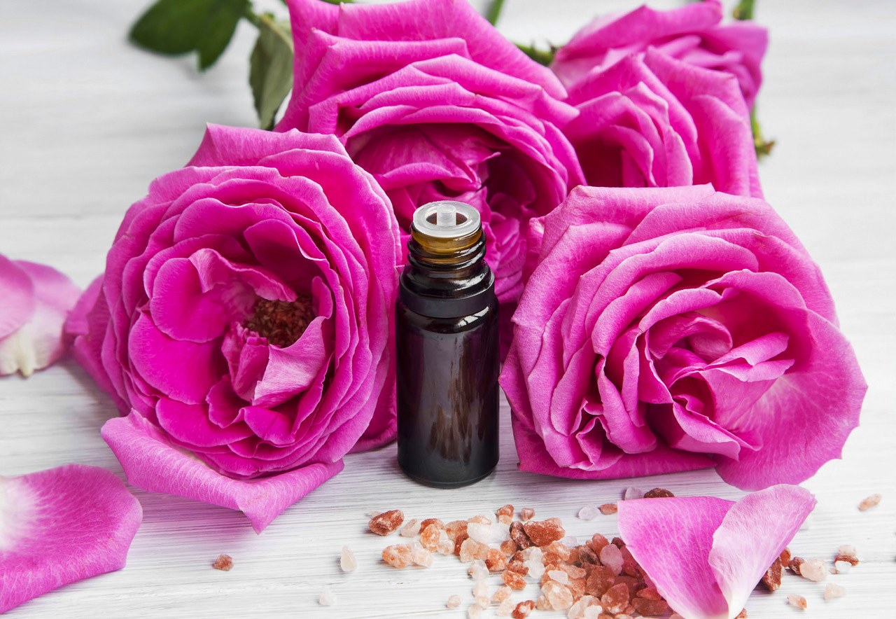 8 Incredible Rose Absolute Essential Oil for 2024