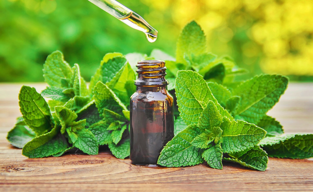 8 Superior Mint Essential Oil for 2024