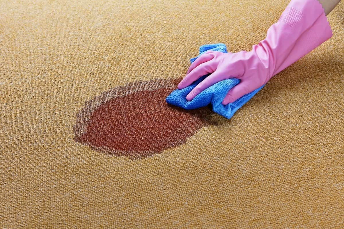 8 Unbelievable Carpet Cleaning Solution for 2024