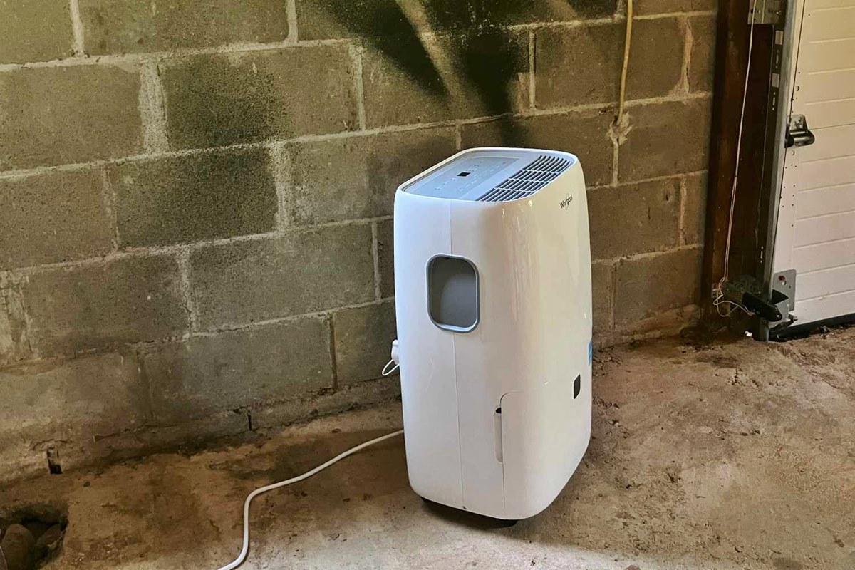 9 Amazing Best Dehumidifier For Basement for 2024