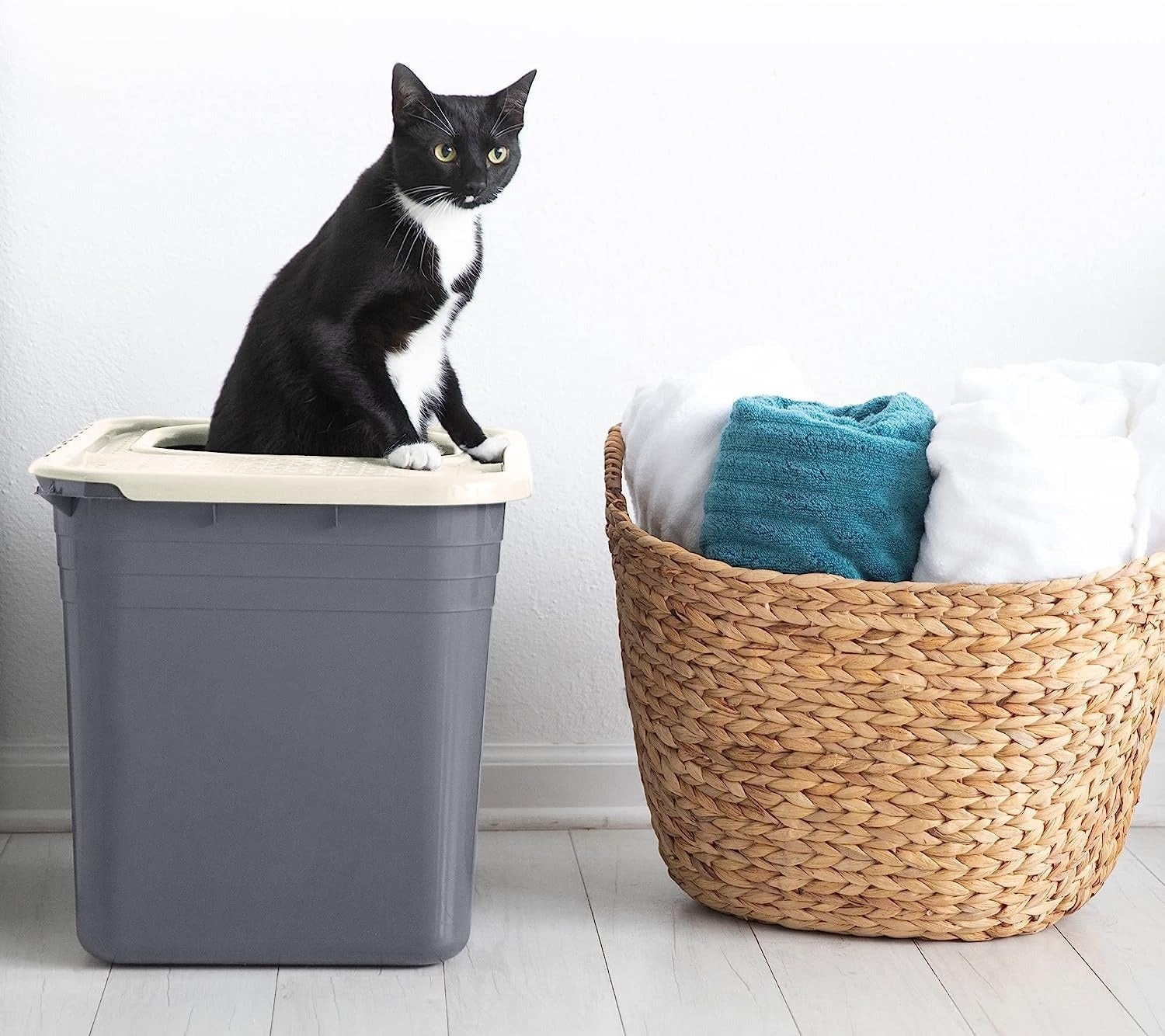 9-amazing-cat-trash-can-for-2023
