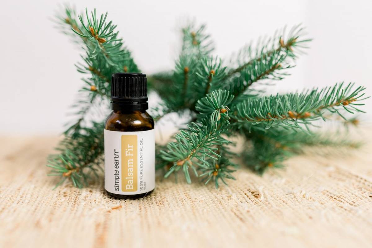 9 Amazing Fir Essential Oil for 2024