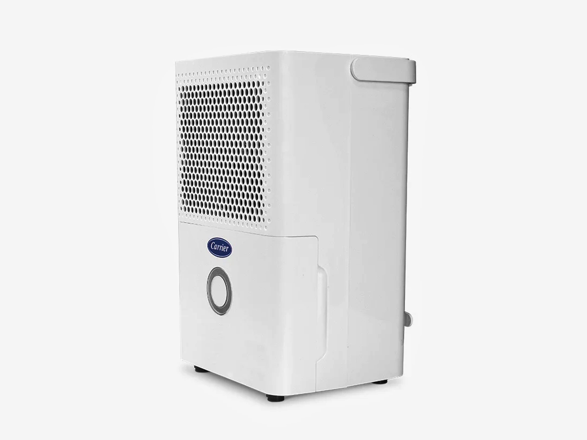 9 Best Dehumidifier Portable for 2024
