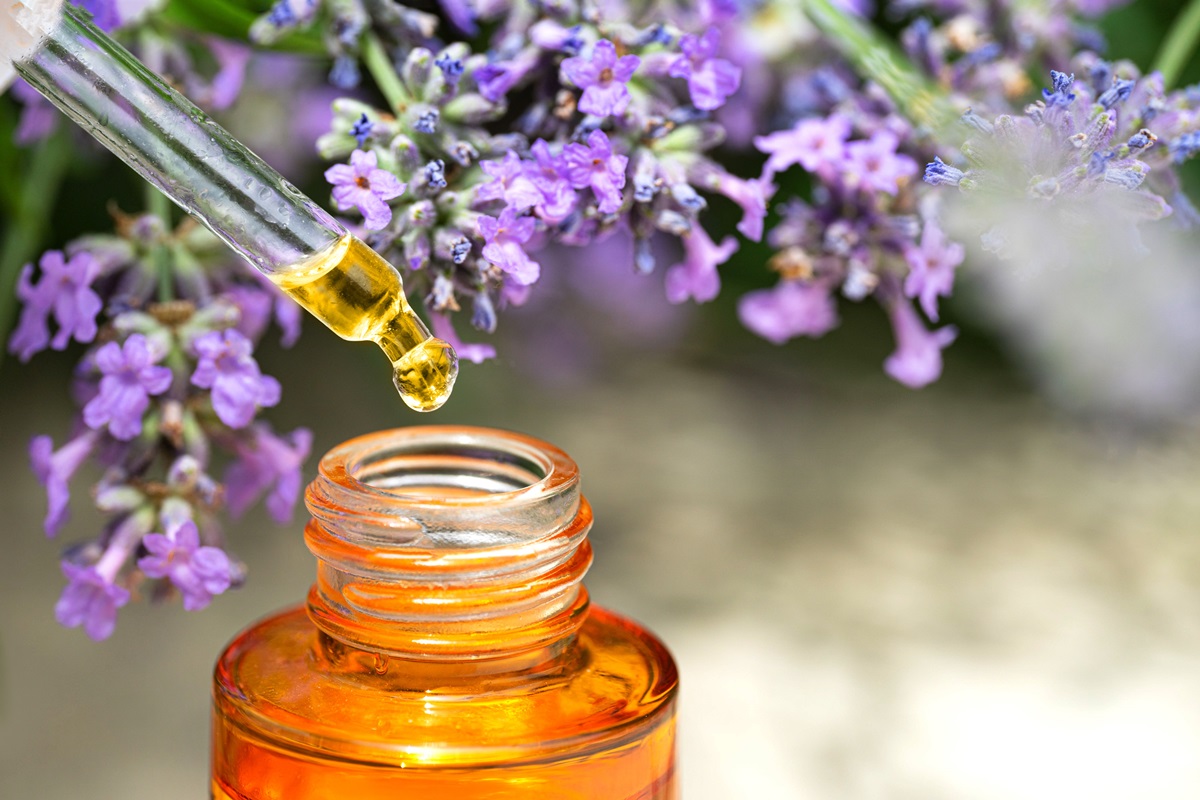 9 Unbelievable Lavender Essential Oil Organic for 2024