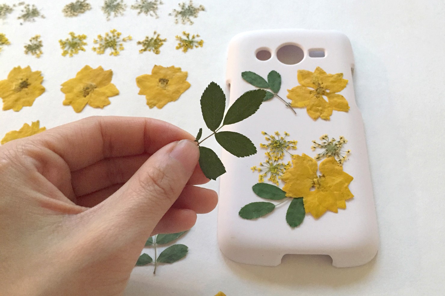 Crafting A Pressed Flower Phone Case