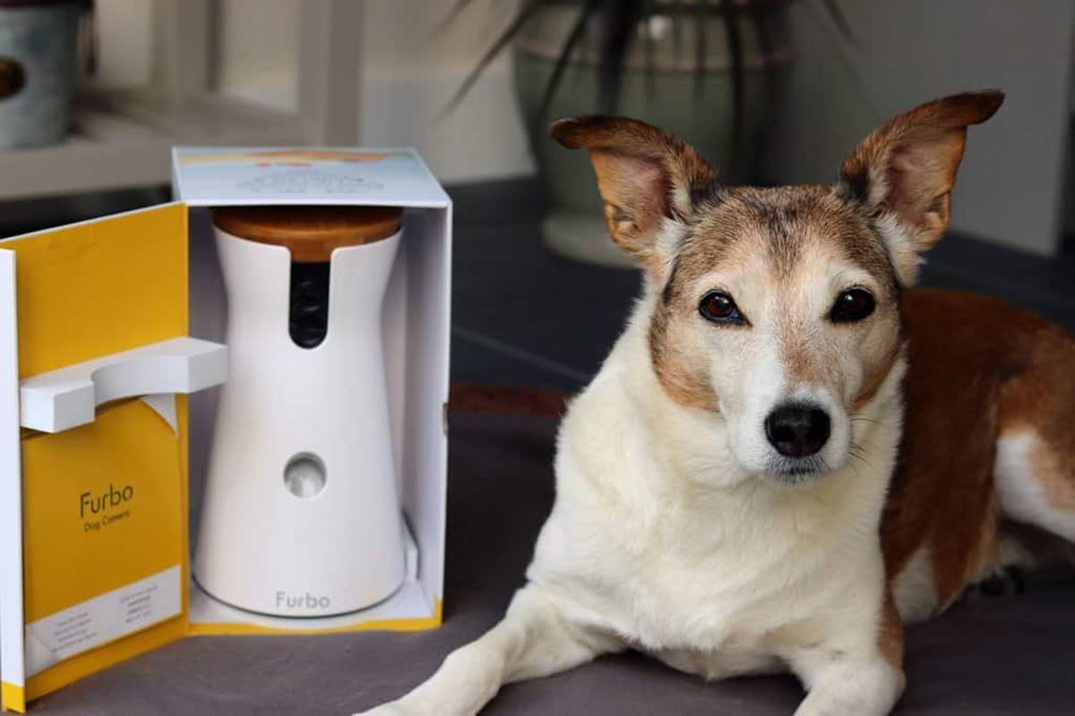 Furbo Dog Camera Review: The Best Overall