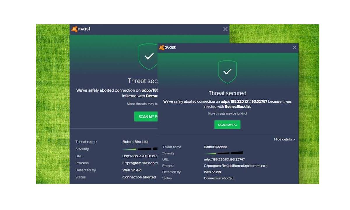 How Do I Remove Botnet Malware