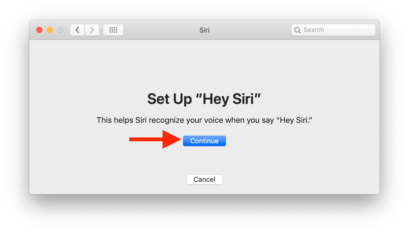 How Do I Set Up Siri Voice Recognition
