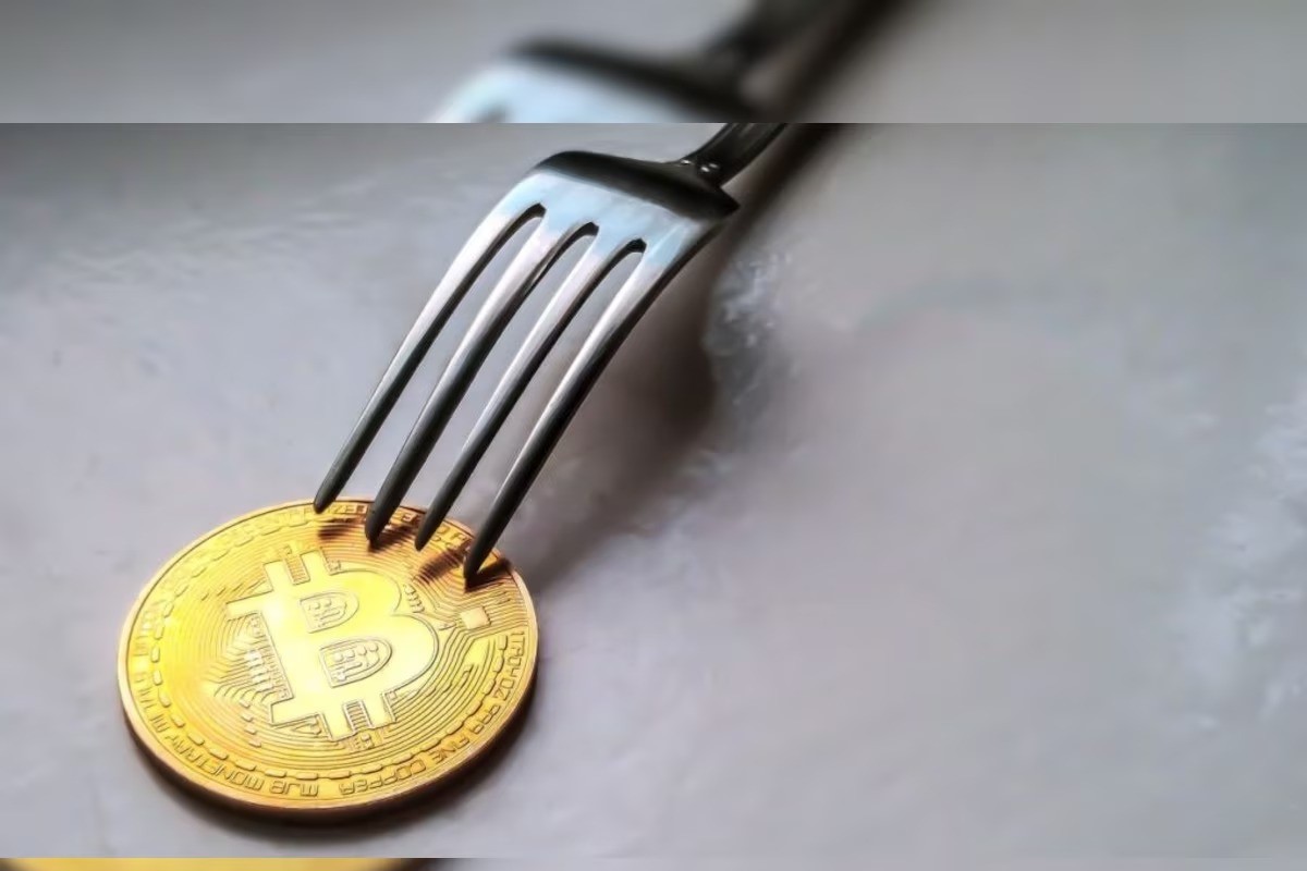 How To Access Bitcoin Forks With Trezor