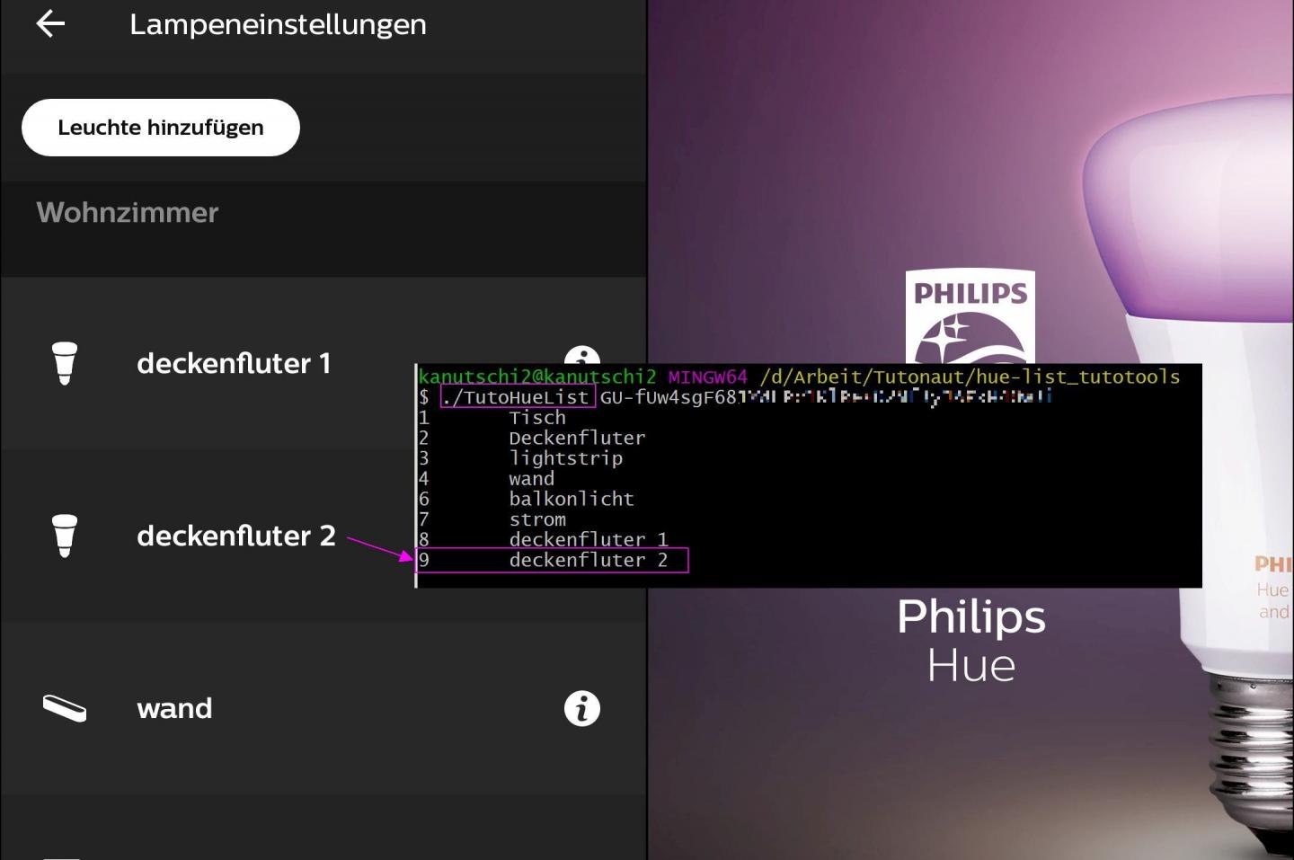 How To Get A List Of Lights With Philips Hue API