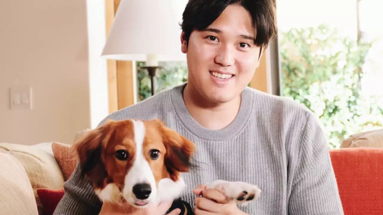 Shohei Ohtani’s Dog Finally Revealed: Meet Decoy!