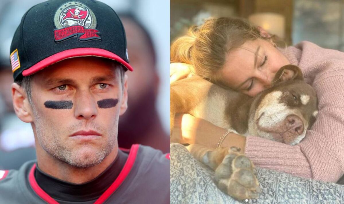 Tom Brady And Gisele Bündchen Mourn The Loss Of Family Dog Lua
