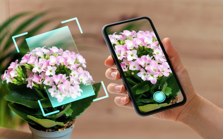 using mobile app for plant identification and diagnostics