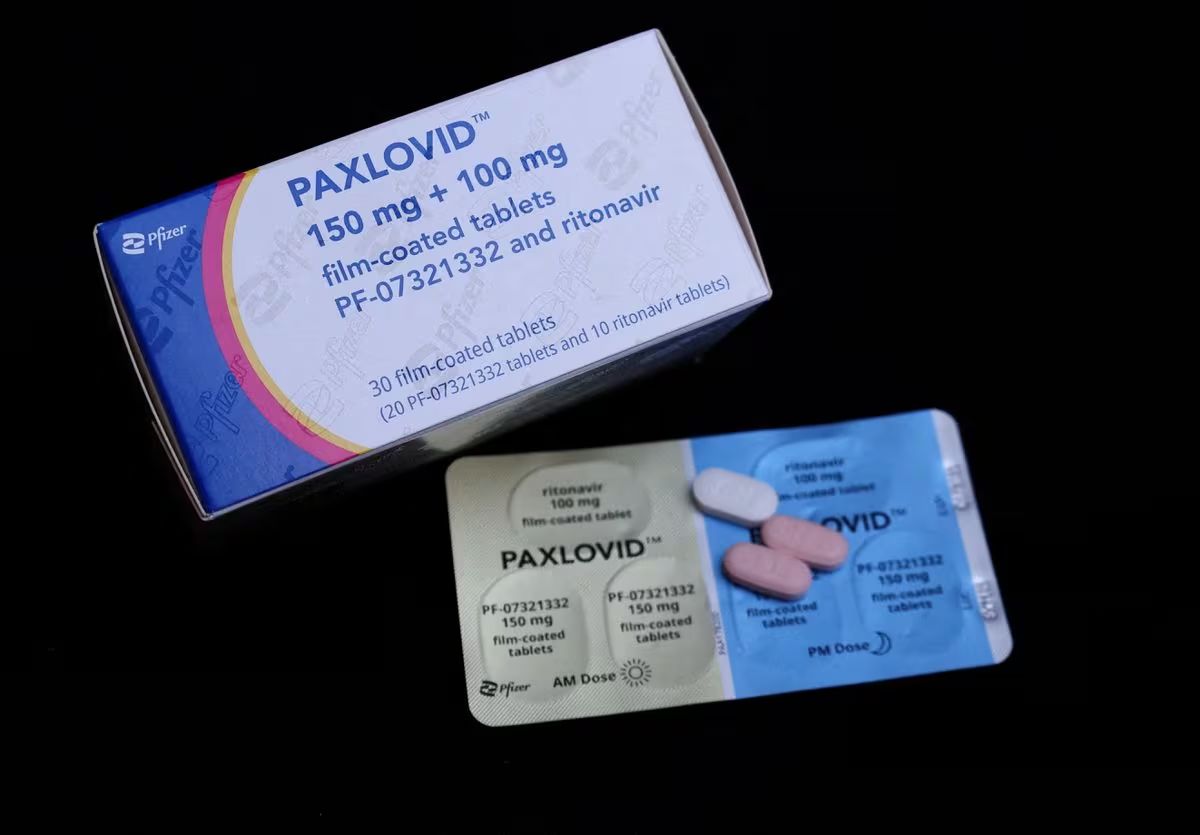 Veterinarian Prescribing Paxlovid To Save Dogs From Mysterious Illness
