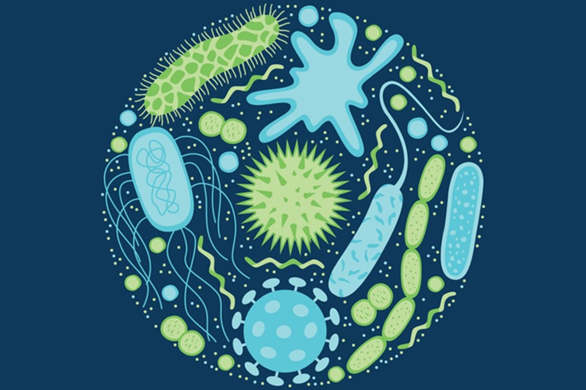 Bacterial Eradication: Exploring The Antibacterial Properties Of Blue Light