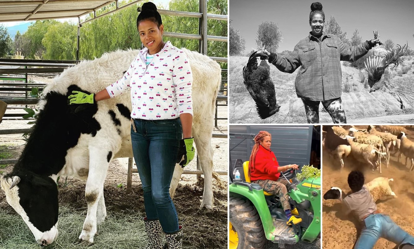 Kelis Shares Exciting Farm Update Featuring New Animal Additions