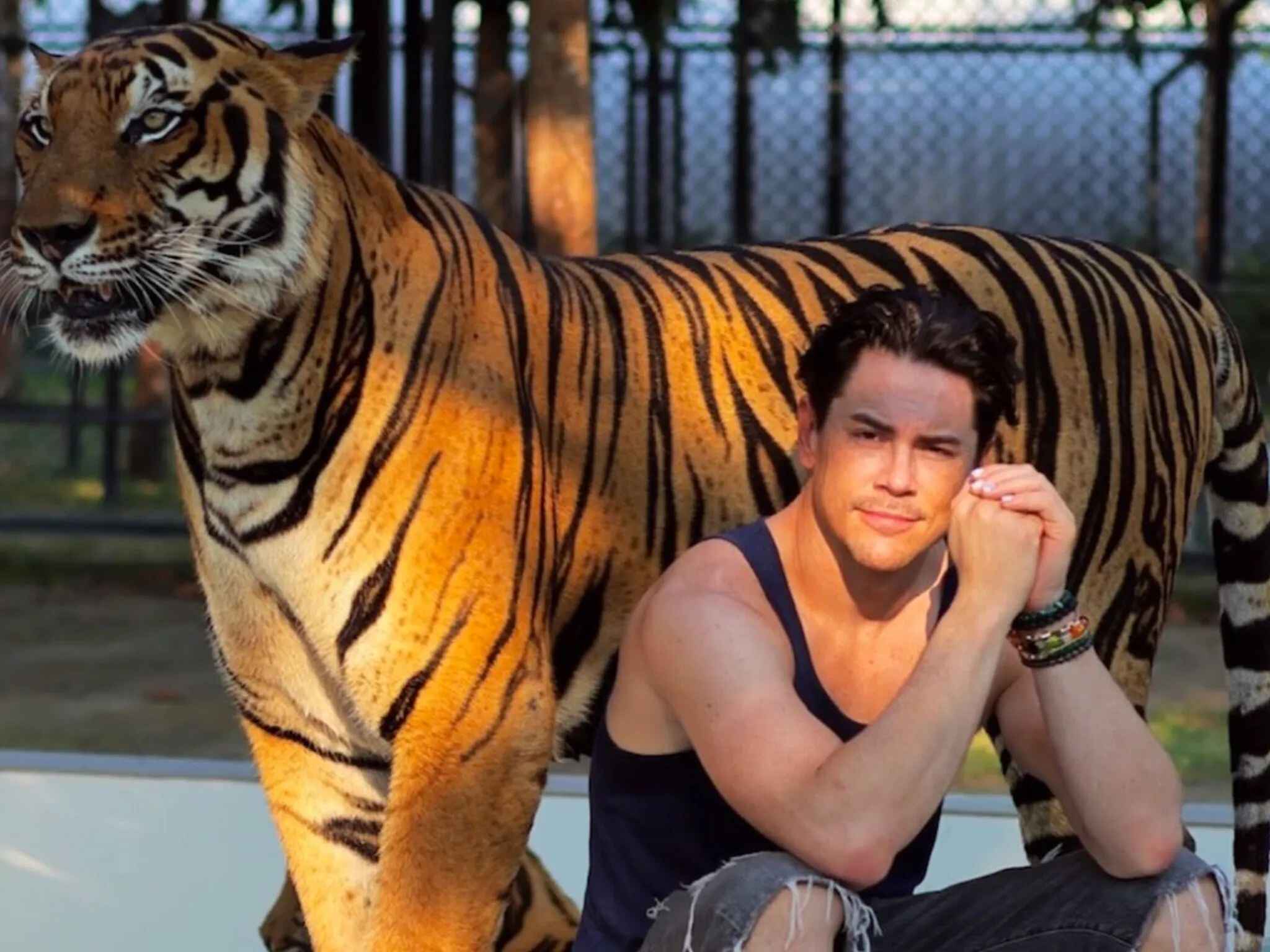 Tom Sandoval Criticized By PETA For Posing With Tiger At Thailand Zoo