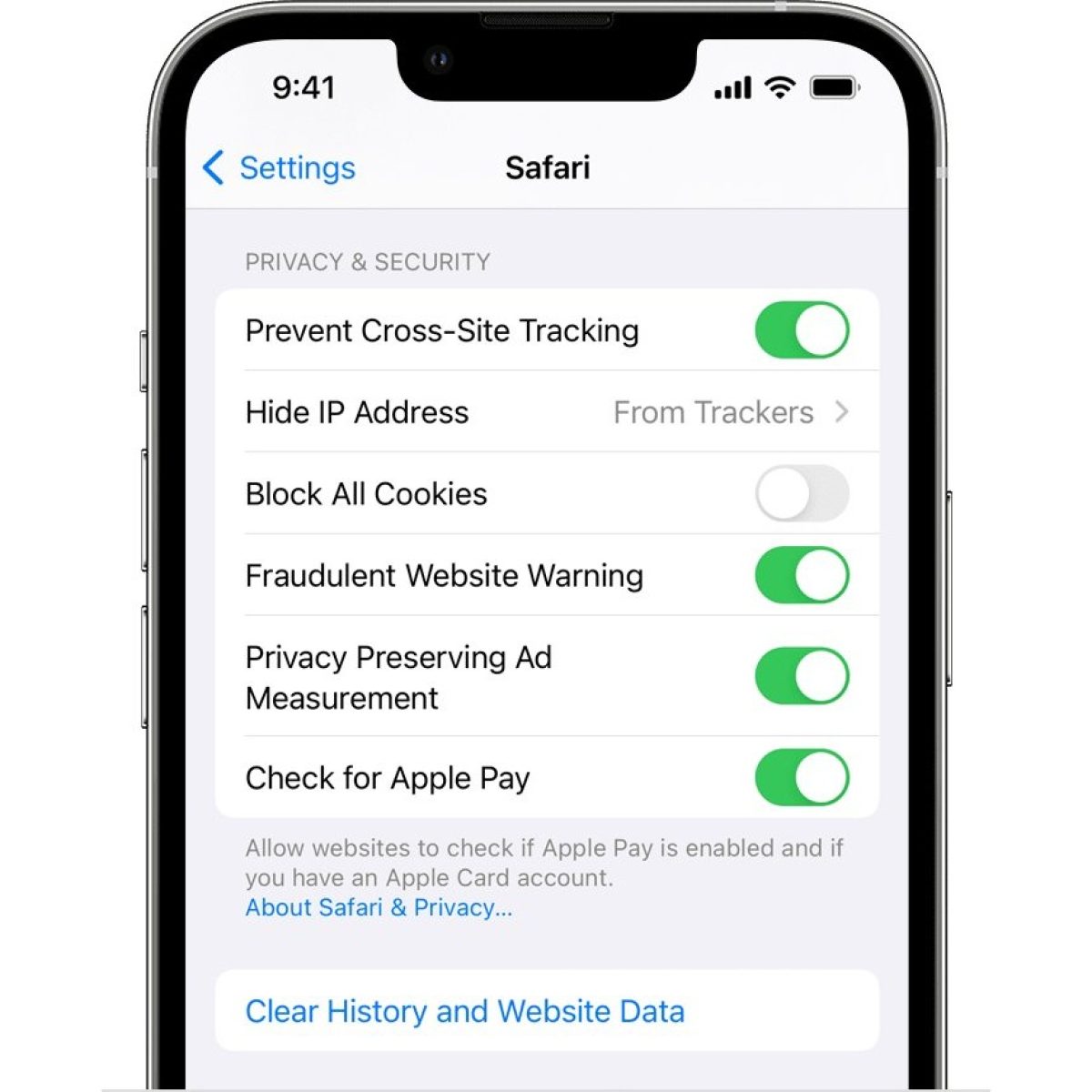 clearing-search-history-on-iphone-13-quick-guide