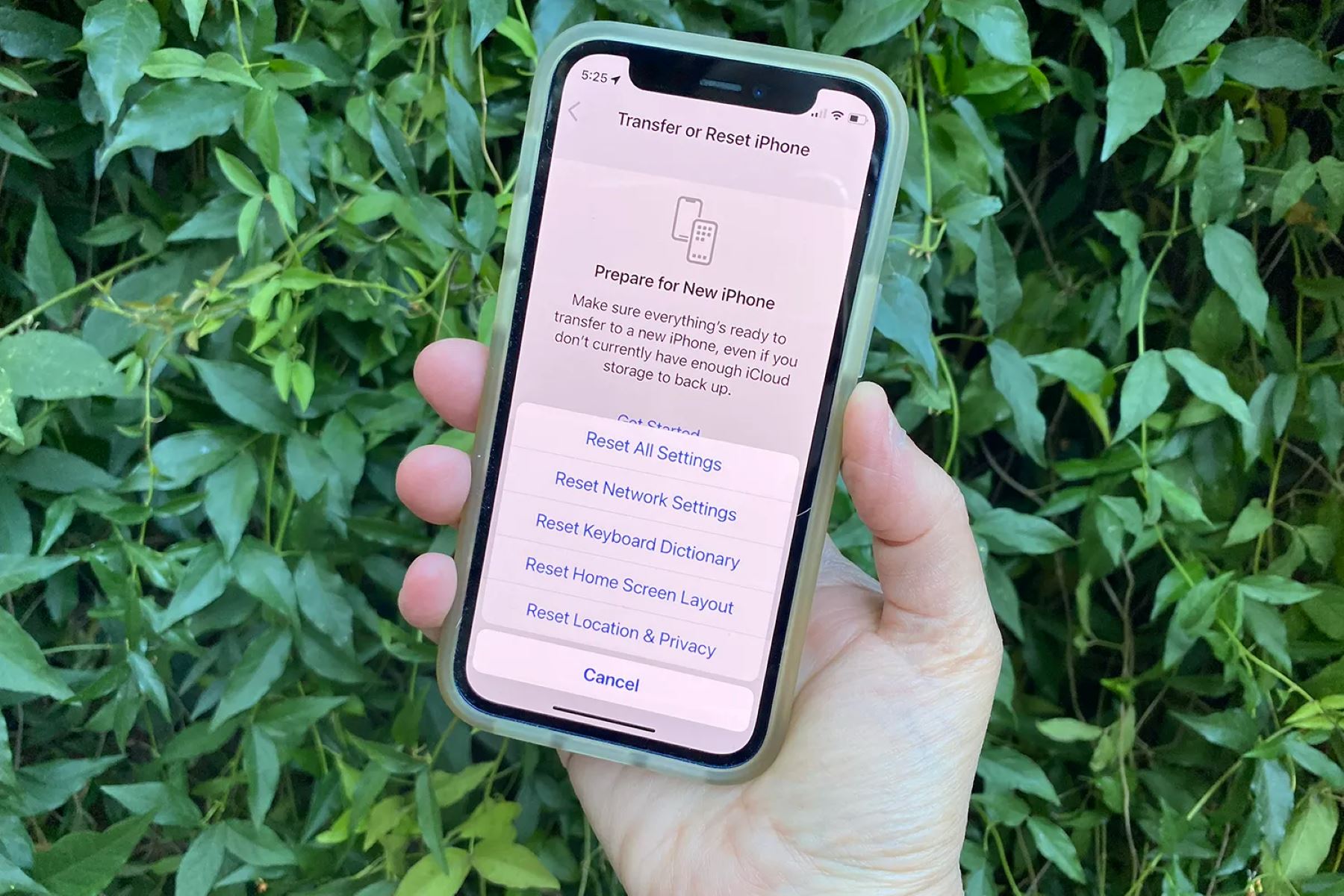 Network Settings Reset: Restoring Network Configurations On IPhone 11