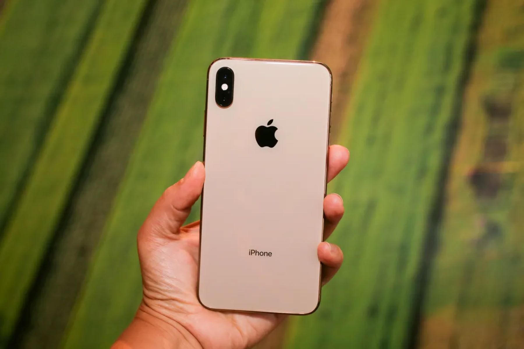 Release Date Insights: IPhone 10 Max Arrival